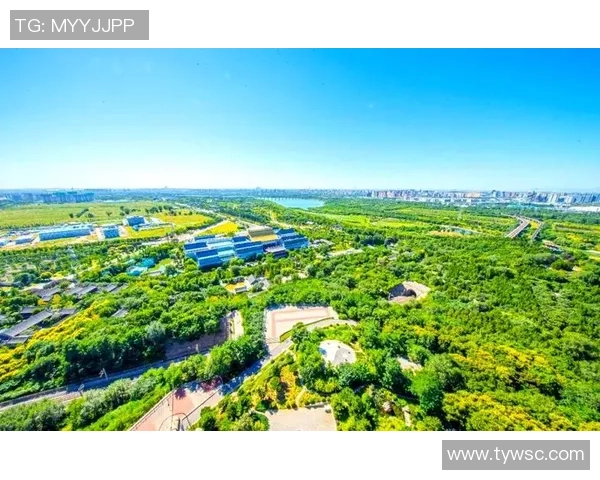 北京首钢加速科技创新推动绿色低碳转型引领首都高质量发展新格局